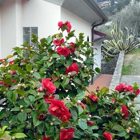 Βίλα Il Pettirosso Λα Σπέτσια
