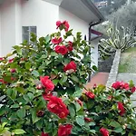 Вилла Il Pettirosso Специя