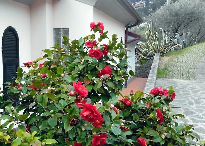 Βίλα Il Pettirosso Λα Σπέτσια